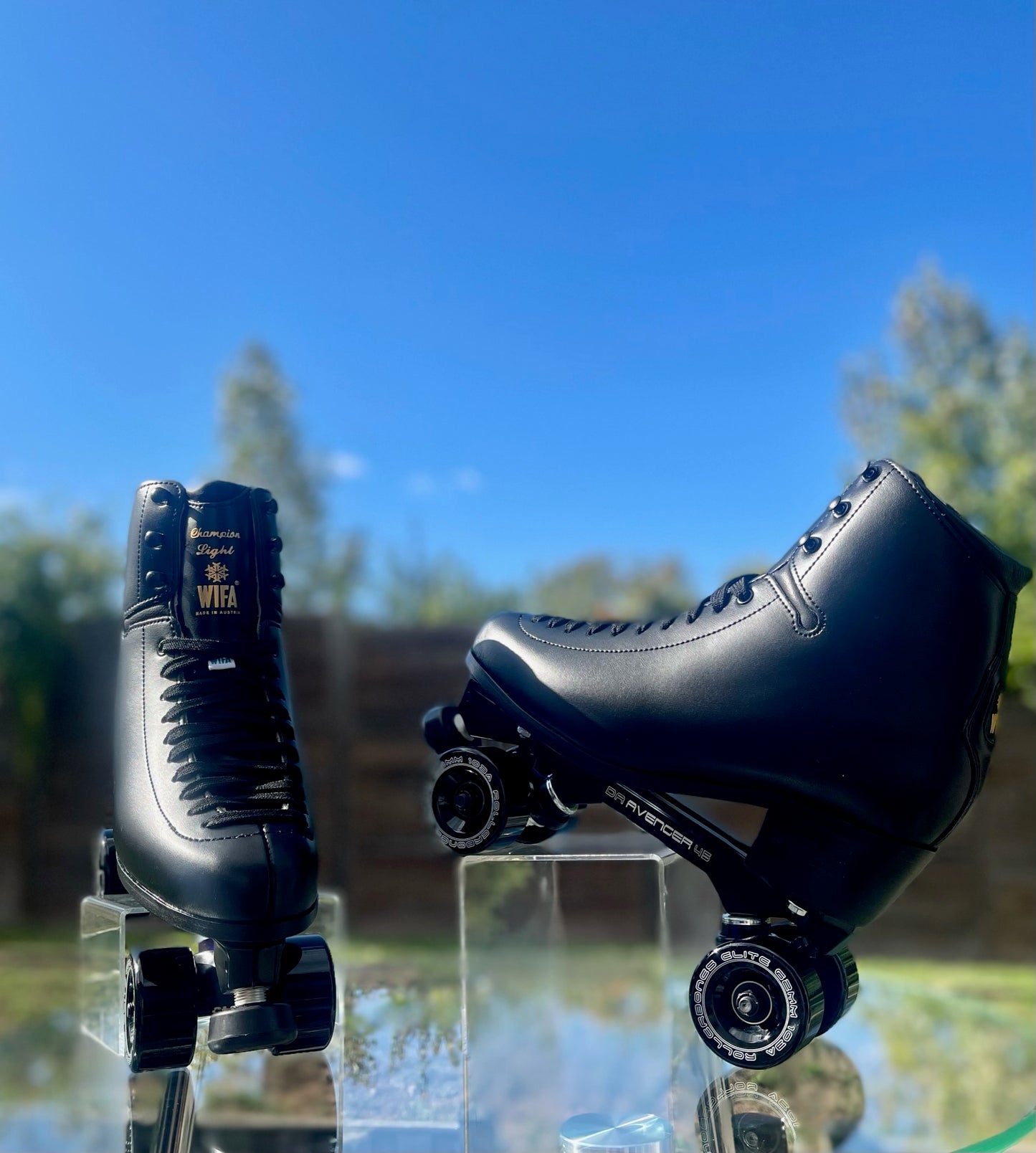 One of a Kind WIFA Blackout Champion Light