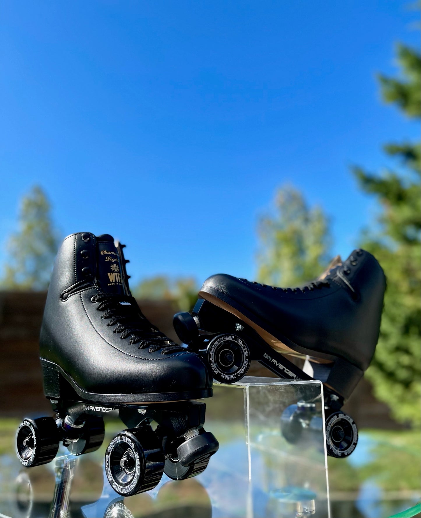 One of a Kind WIFA Blackout Champion Light