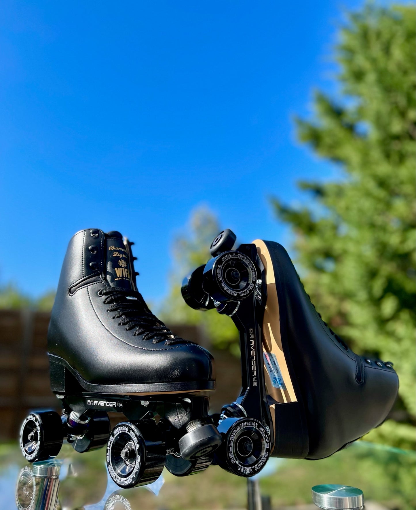 One of a Kind WIFA Blackout Champion Light