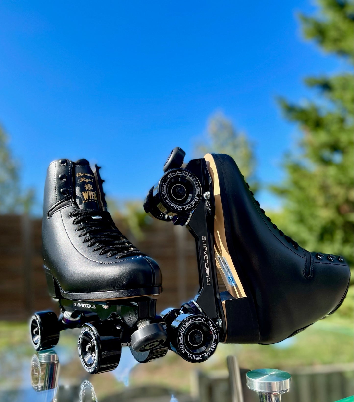 One of a Kind WIFA Blackout Champion Light