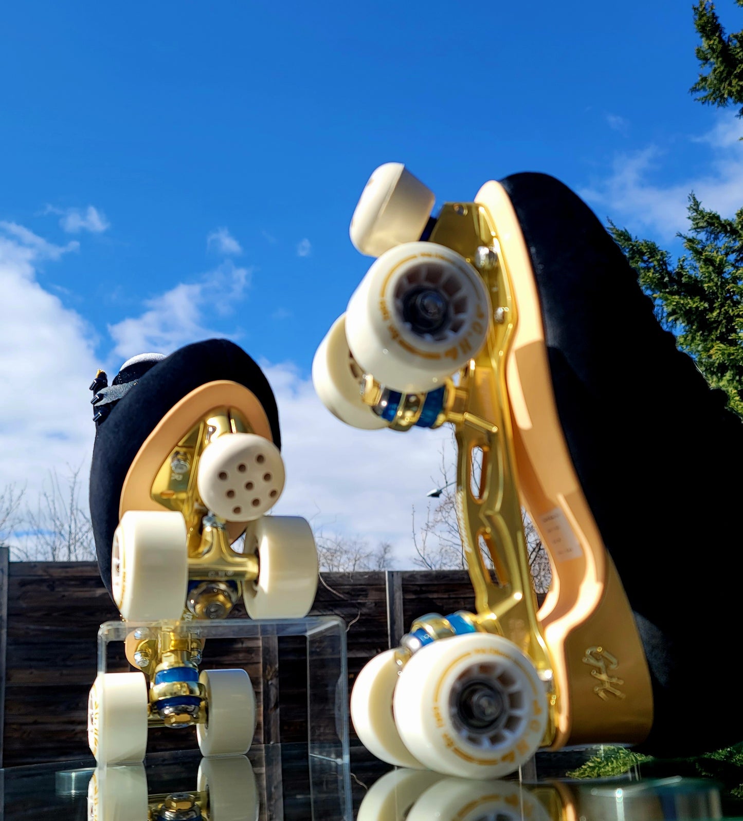 Black & Gold GH Street Maven Pro Skates