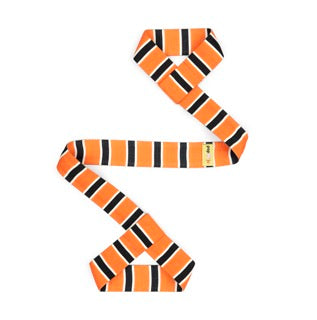 Popin'Jo Skate Leash