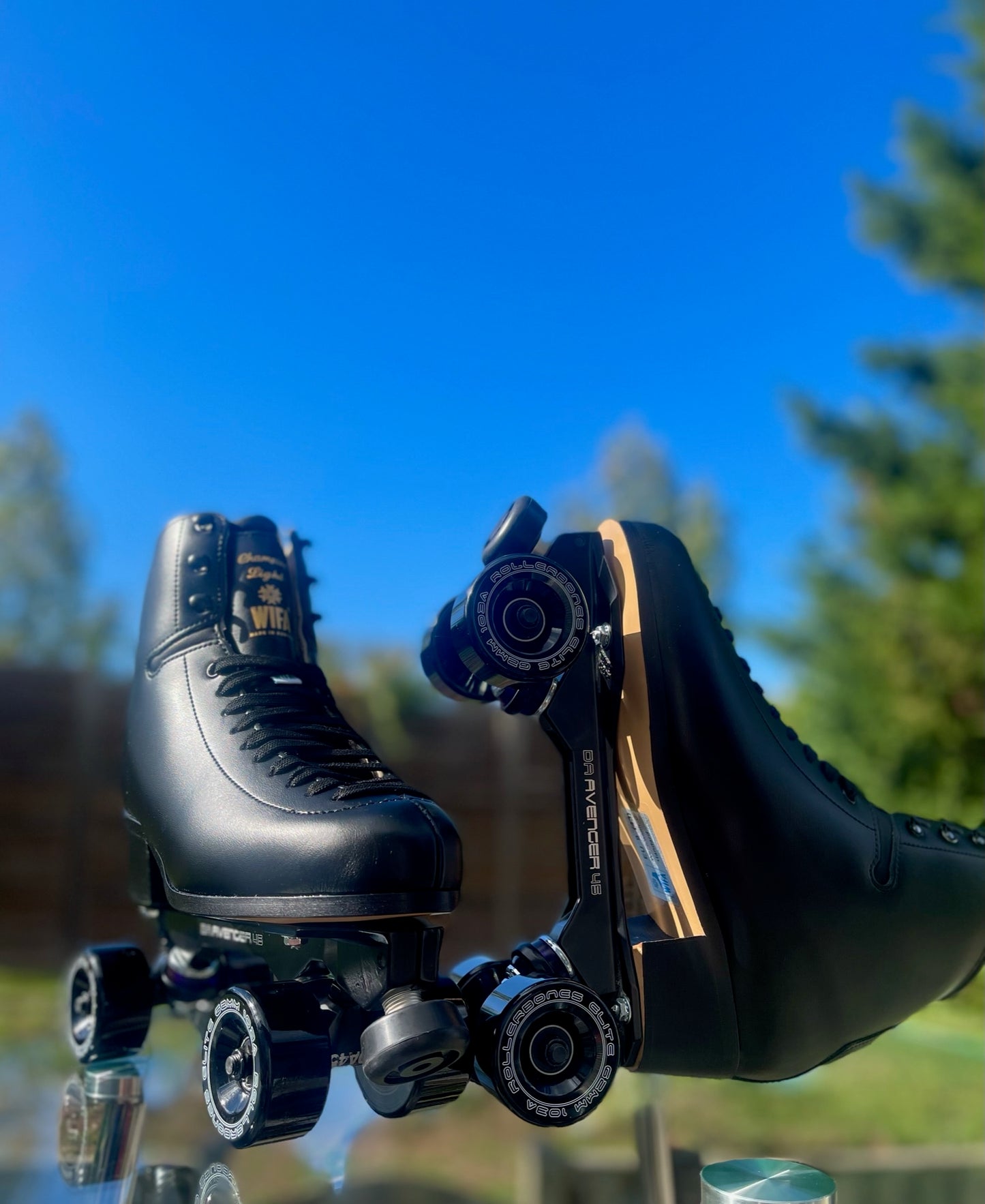 One of a Kind WIFA Blackout Champion Light