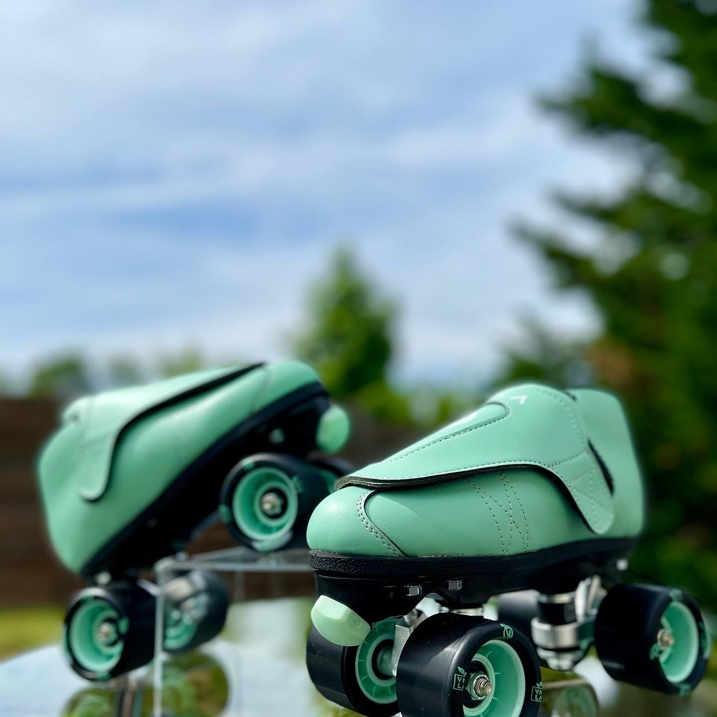 VNLA - Speed Skates
